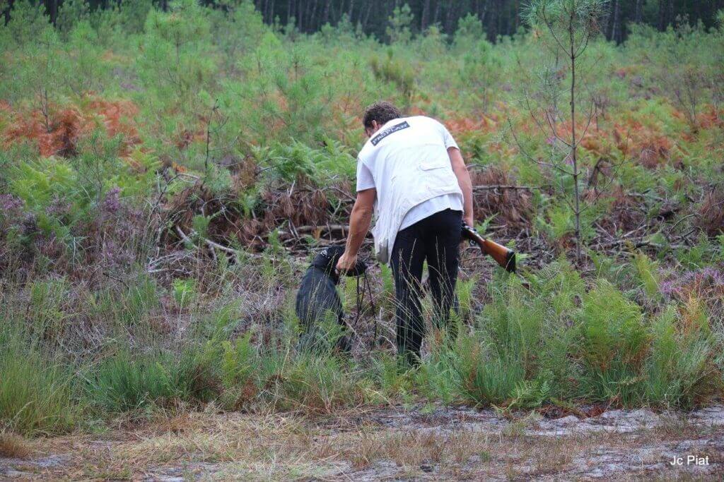 Photo d'un chasseur avec son chien et son fusil