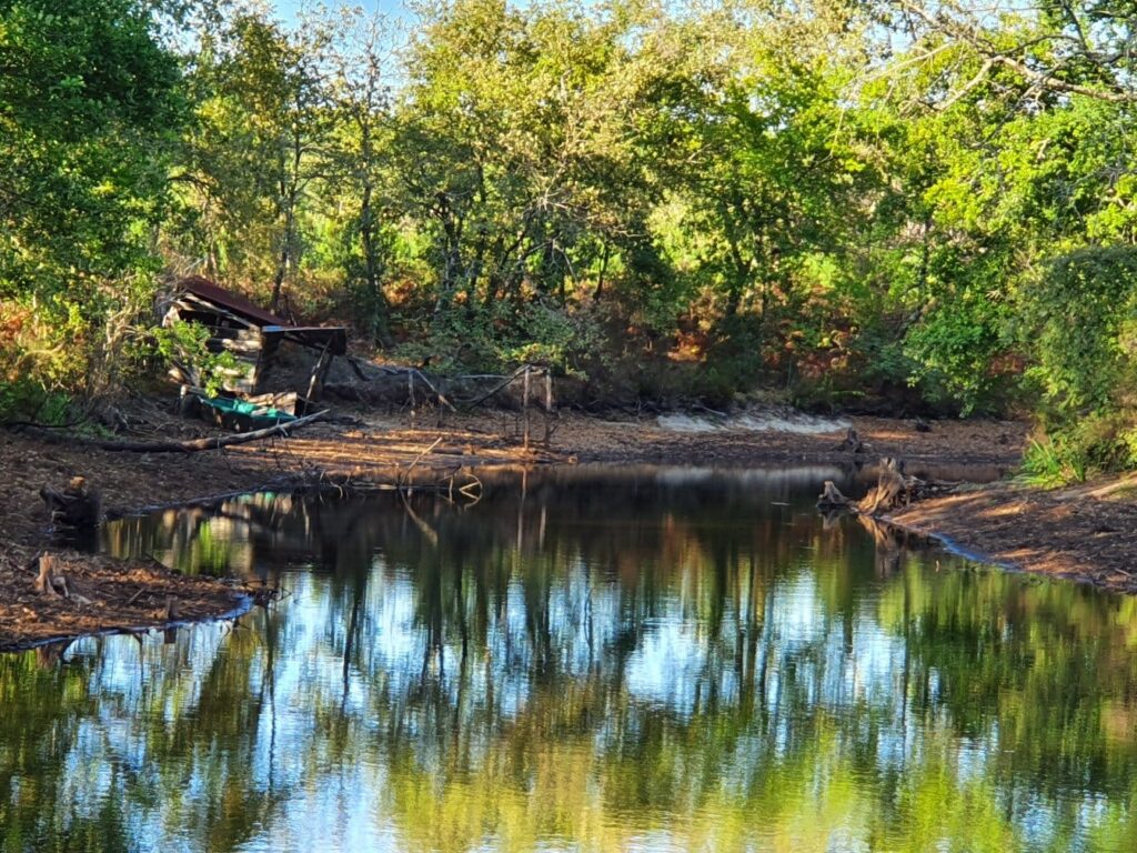 Photo d'un marais existant sur le domaine.